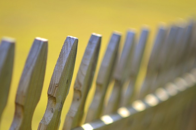 fence