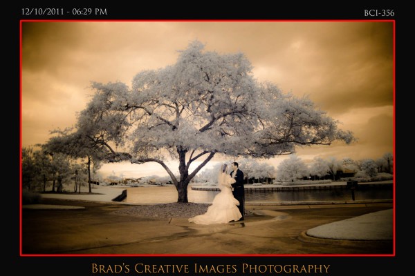 Hot Wedding Images