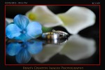 Hot Wedding Images Hot Wedding Images