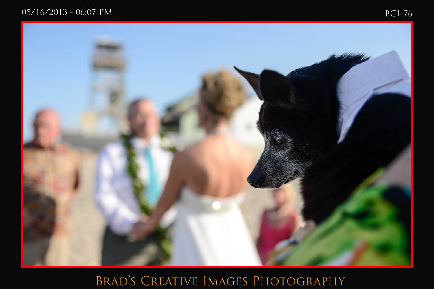 Thursday Wedding at the House of Refuge