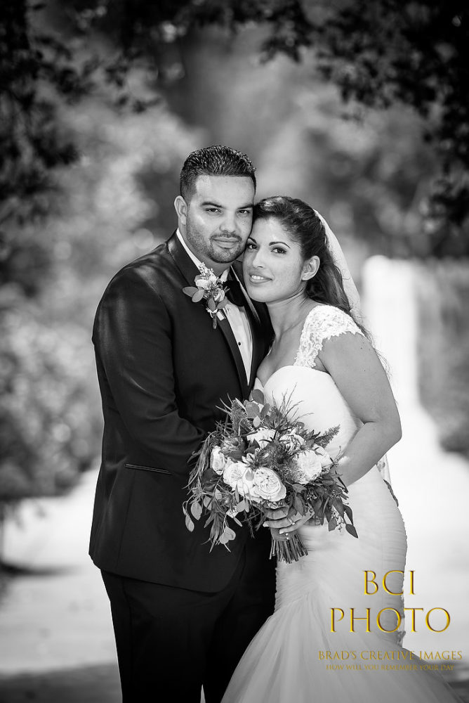 Monday Backyard Wedding Sensation