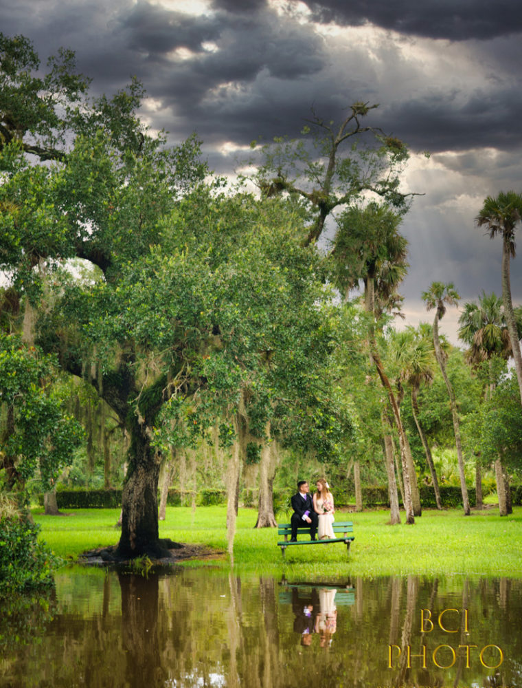 White City Park Wedding Beats the Rain and Covid 19